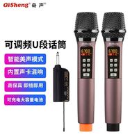 QiSheng 奇声 变声无线话筒美音声卡家用K歌神器直播户外专业可变声麦克风