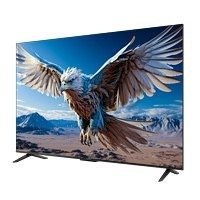 以旧换新补贴、PLUS会员：FFALCON 雷鸟 鹏6 24款 65S375C 液晶电视 65英寸 4K