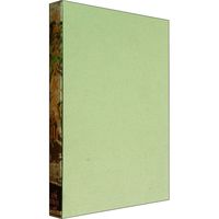 《天水麦积山》