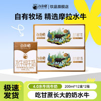 百亿补贴：BONUS 百菲酪 水牛奶 纯牛奶 4.0g优质乳蛋白宝宝爱喝 200ml*12盒/箱送礼盒装