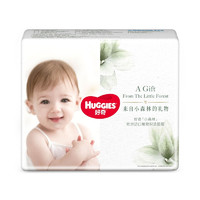 HUGGIES 好奇 心钻装系列 拉拉裤 小森林款 L2片