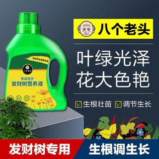 八个老头 发财树专用营养液 500ml*1瓶