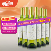 嗨的时间智利红酒长相思白葡萄酒干型750ml*6整箱