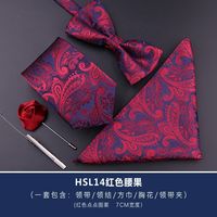 凤羽 5件套领带男士 拉链HSL14红色腰果5件套不带盒