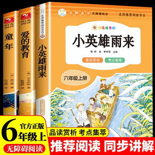 童年六年级课外阅读必读 小英雄雨来快乐读书吧六年级上册 爱的教育