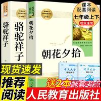 人教版2册 朝花夕拾和骆驼祥子老舍鲁迅原著七年级必读书正版人民