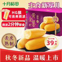 SHI YUE DAO TIAN 十月稻田 鲜食黄金薯 1.5kg 8根