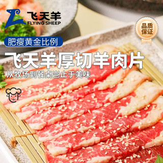 飞天羊 Feitianyang 飞天羊 内蒙厚切羊肉卷 200g*5