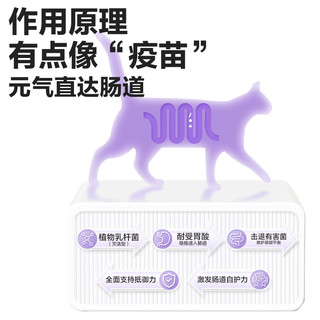 卫仕猫力肠200片幼猫肠胃宝益生菌猫咪用益生菌肠胃调理