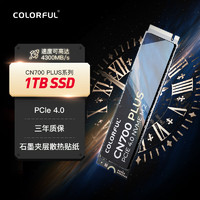 COLORFUL 七彩虹 CN700 Plus NVMe M.2 固态硬盘 256G 原封空盘+豪华装机套件