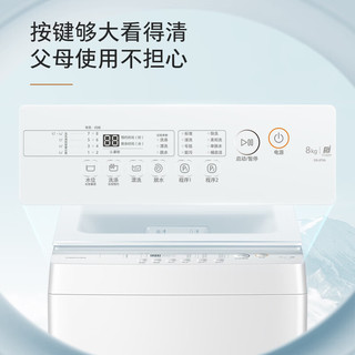 东芝（TOSHIBA）波轮洗衣机全自动 8公斤大容量 护衣少缠绕 不弯腰自由取 净透除菌螨 宿舍 租房 DB-8T06