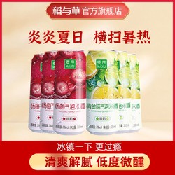 麦序 青金桔杨梅气泡米露米酒 3度低度微醺 夏季清爽听装330ml