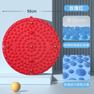 Schneider 施耐德 指压板足底按摩垫原地踏步慢跑脚踩按摩脚垫通经络趾压板