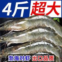 百亿补贴：XYXT 虾有虾途 青岛海水大虾 单只11-14cm 2kg