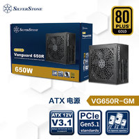 银欣 银昕（SilverStone）650W VG金牌ATX3.1电源 (原生PCIE5.1/全日系电容/压纹材质/风扇启停) VG650R-GM