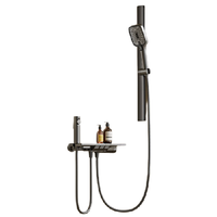 HUIDA 惠达 DW699 精铜花洒套装 枪灰色 冷热款