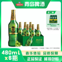 TSINGTAO 青岛啤酒 青啤啤酒奥古特啤酒480ml*6瓶/箱 玻璃瓶瓶装啤酒整箱