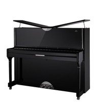 门德尔松 Mendelssoh钢琴德国进口配件家用教学演奏蝴蝶顶盖黑色亮光MJ66