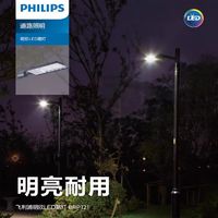 PHILIPS 飞利浦 led小路灯BRP121 室外IP66防水新农村道路人行道户外照明灯