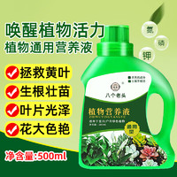 八个老头 植物营养液 500ml*1瓶