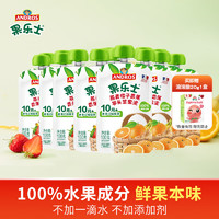 Fruit Me Up 果乐士 水果泥多口味混合100g*15 儿童辅养食水果泥宝宝零食营养果蔬泥