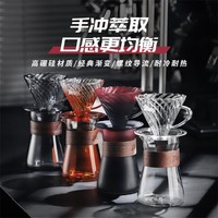 Bincoo 手冲咖啡壶套装 玻璃材质 500ml 透明