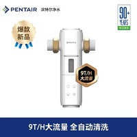 PENTAIR 滨特尔 9T/H大流量全自动前置过滤器反冲洗全屋净水S260