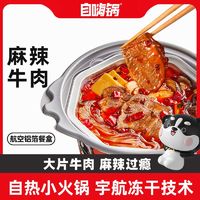 百亿补贴：自嗨锅 自热火锅免煮预制菜速食菜方便火锅菜肴代餐主食宿舍即食