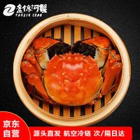 旭海 盘锦河蟹 全母2.8-3.1两 10只 稻田蟹礼盒装