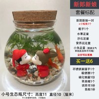 韩锦 微景观生态瓶观赏鱼好养耐活真水草桌面迷你小鱼缸DIY作业韩锦 小号新郎新娘