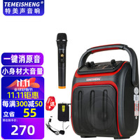 特美声 音响A6-30广场舞户外音响K歌唱歌家用演出大功率便携式手提蓝牙音箱 A6-30单话筒+单耳麦+煲机U盘
