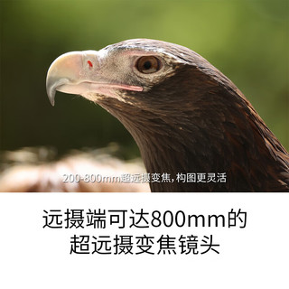 88VIP：Canon 佳能 RF 200-800mm F6.3-9 IS USM 远摄变焦长焦镜头打鸟