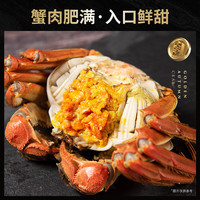 【活蟹】蟹状元 大闸蟹鲜活礼盒 母蟹2.6两*10只+公蟹3两*2只