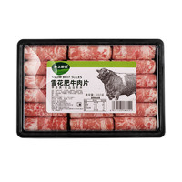 88VIP：RT-Mart 大润发 雪花肥牛肉片 260g/袋