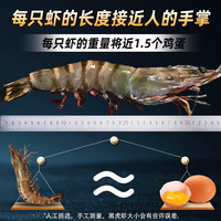名扬湖海 黑虎虾超大海虾鲜速冻竹节虾海鲜水产1000g