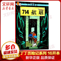 《新版丁丁历险记·714航班》