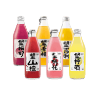 HOPE WATER 好望水 望山楂杨梅果汁饮料气泡水 330ml