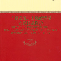 产权强度、土地流转与农民权益保护