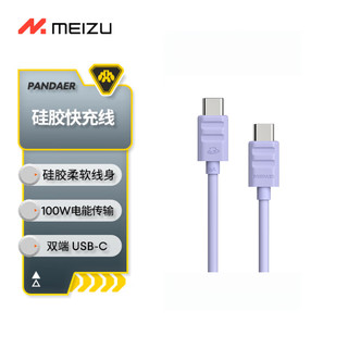 魅族（MEIZU）PANDAER Line King 100W 灵动紫 硅胶高能快充数据线 支持PD3.0 支持6A 手机/耳机/平板一线接入