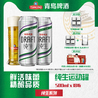 TSINGTAO 青岛啤酒 纯生500ml*18听