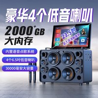 SANSUI 山水 C10户外广场舞带显示屏家庭ktv套装音响k歌声卡一体机