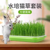 huaxu 华畜 绿茶豆腐猫砂豆腐砂猫砂除臭无尘结团原味猫沙大颗粒10斤12L