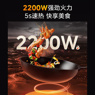 美的（Midea）铂钻系列电磁炉电磁灶【政府补贴】单灶2200W家用大功率 9档火力滑触双控 低温保护DZ22S06E