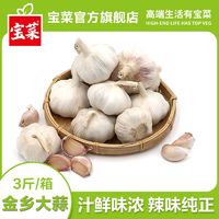 百亿补贴：宝菜 金乡大蒜 紫皮蒜 3斤装