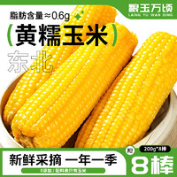 粮玉万顷 黄糯玉米 200g*8棒