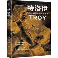 《特洛伊：西方文明源头的战争史诗》