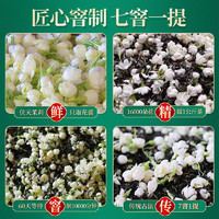 88VIP：贡苑 茉莉花茶广西横县香珠特香泡水喝飘雪毛尖伴手好礼送长辈