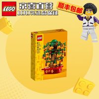 LEGO 乐高 方头仔拼砌盒儿童小颗粒拼装积木玩具男女生生日礼物 40648摇钱树