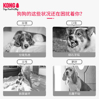 KONG 狗狗绳结发声玩具浣熊拉扯磨牙大小型犬发泄自嗨解闷神器