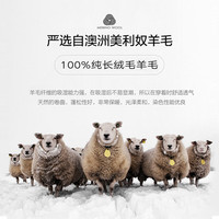 伯爵卓尔美利奴全羊毛呢大衣男中长款2024秋冬长绒毛通勤呢子外套 P441521